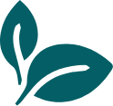 Logo: amestecuri, ingrediente și arome naturale la Pagani.